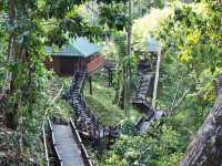 🦧 Tabin Wildlife Reserve: Where the Wild Things *Really* Are! 🌿