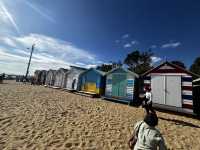 Discover the beauty of Melbourne Brighton Beach