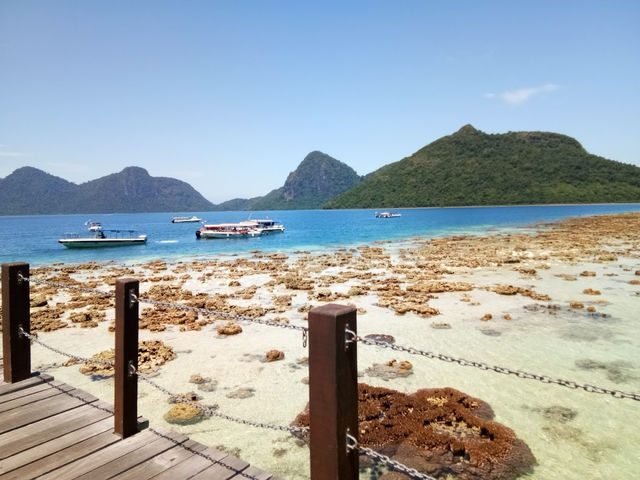 Bohey Dulang Island: My Mini Adventure in Paradise! 🌊✨