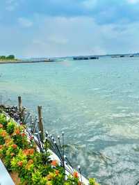 Hidden Garden by the Sea— captivating seaside café