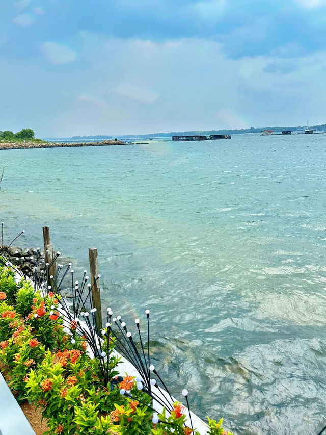 Hidden Garden by the Sea— captivating seaside café