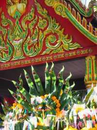 🌺 คำชะโนด