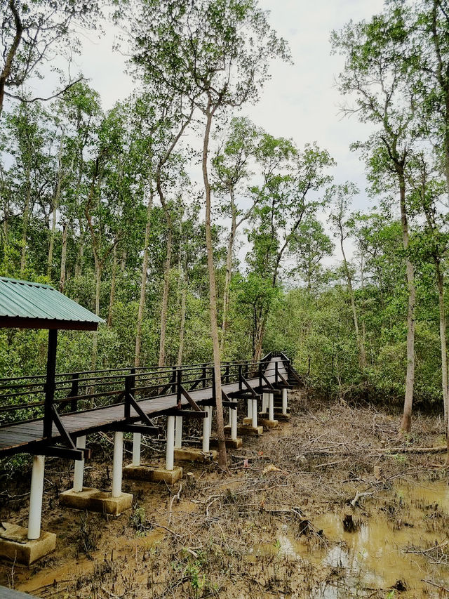 Taman Tanjung Ketapang: Where Mangrove Boardwalks & Monkey Drama Collide🌿🐒