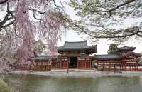 🍵 Uji: Kyoto’s Green Tea Paradise & Timeless Beauty 🍵