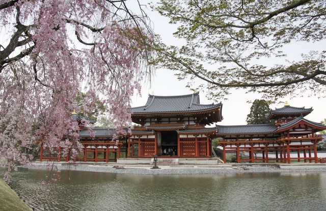 🍵 Uji: Kyoto’s Green Tea Paradise & Timeless Beauty 🍵