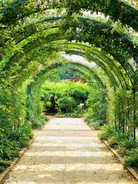 【栃木】藤の花だけでなく、菖蒲、紫陽花も素晴らしい