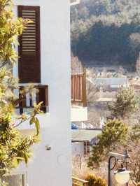 Wonye Arts Village: A Tapestry of Horticultural Artistry 