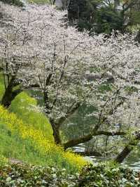 Exchanging Spring Flowers
