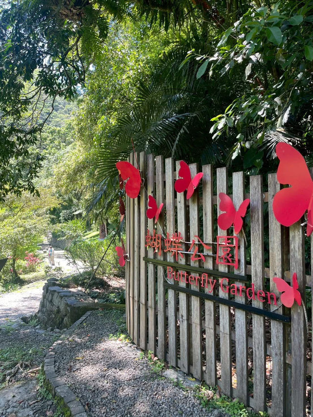 大羅蘭溪蝴蝶公園