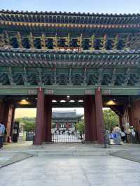 창경궁 가자!