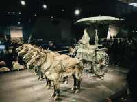 Terra-Cotta Warriors 西安兵馬俑🗿