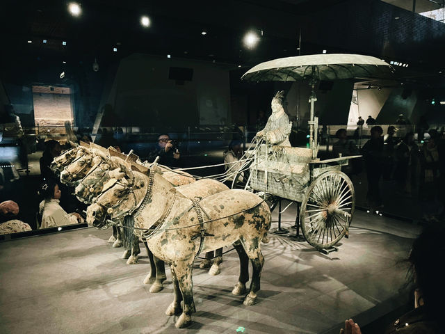 Terra-Cotta Warriors 西安兵馬俑🗿