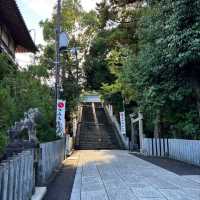 🇯🇵【大阪】平安時代の古文書にも記述が残る由緒正しい神社！伊射奈岐神社⛩️