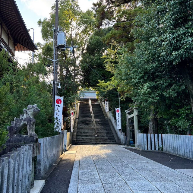🇯🇵【大阪】平安時代の古文書にも記述が残る由緒正しい神社！伊射奈岐神社⛩️