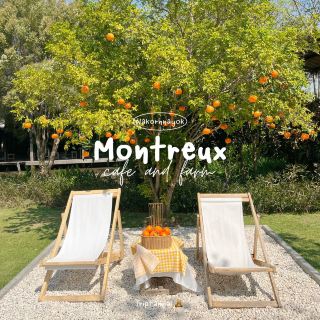 🌳พื้นที่ฮีลใจที่นครนายก 𝗠𝗼𝗻𝘁𝗿𝗲𝘂𝘅 𝗰𝗮𝗳𝗲
