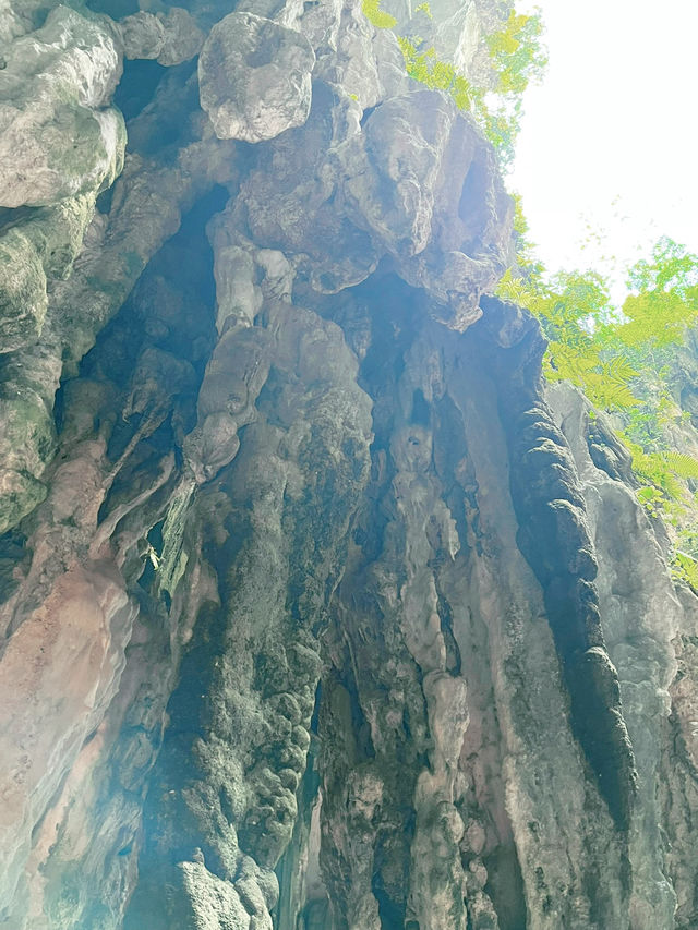 “Temple Cave: A Serene Sanctuary of Limestone Wonder”