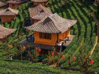 🌄🚣 PAI & MAE HONG SON LOOP ADVENTURE: 4-Day Mountain Magic! 