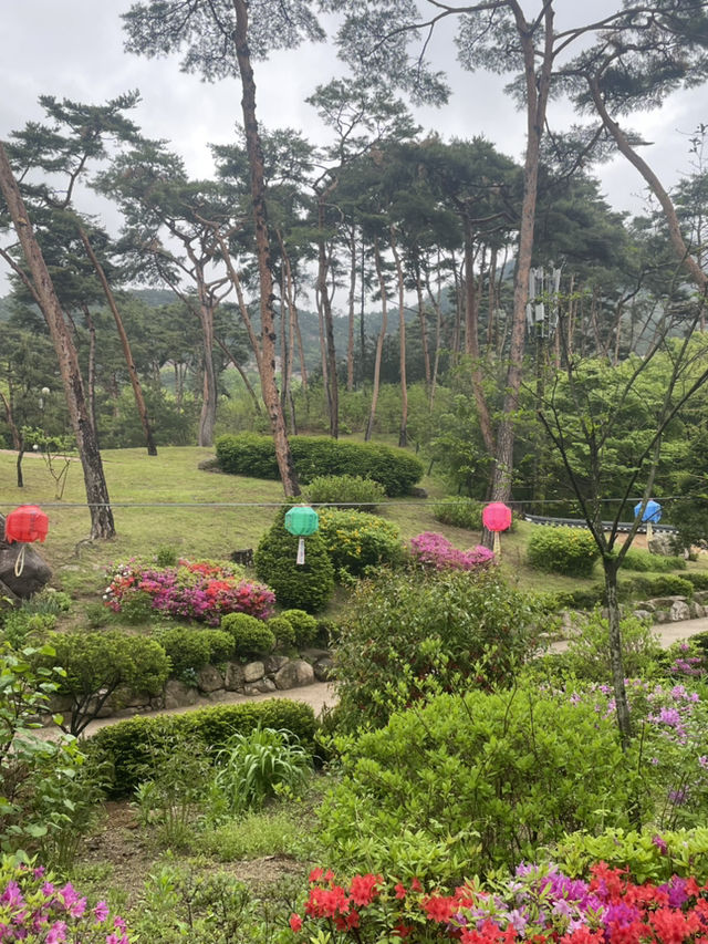 북한산 초입의 녹음이 어우러진 마음의 정원 진관사로 가볍게 떠나봐요.