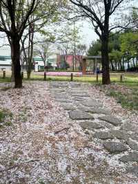 도심 속 자연 쉼터, 오송호수공원에서의 여유로운 산책 🌿🚶‍♀️