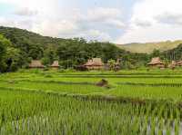 🌄 Muang Xai Untamed: Waterfalls, Tribal Markets & the Road Less Traveled in Northern Laos!  