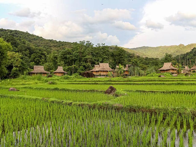 🌄 Muang Xai Untamed: Waterfalls, Tribal Markets & the Road Less Traveled in Northern Laos!  