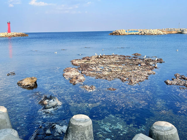 🇰🇷浦項✈️ 海岸村恰恰恰拍攝地尹牙科餐廳윤스토랑