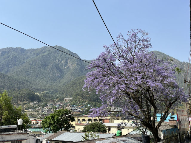 Authentic Life in Uttarkashi🥰🇮🇳✨