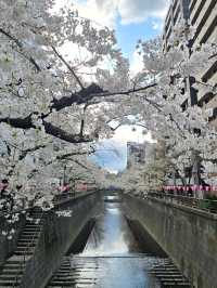 Prettiest Walk Ever