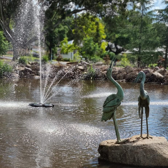 Peaceful Pause – Wagga Wagga Botanical Garden