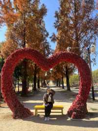 대한민국의 가을 순천의 가을🍂🍁