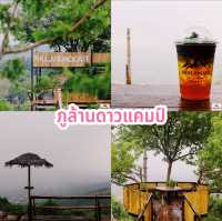 ภูล้านดาวแคมป์