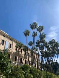 Spring in Malaga