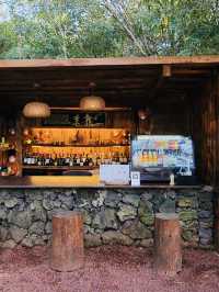 Jeju's Magical Photo Forest: Sanyang Keunkot Review