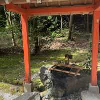 Hidden Torii: Nagayama Inari Shrine