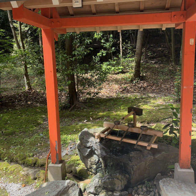 Hidden Torii: Nagayama Inari Shrine
