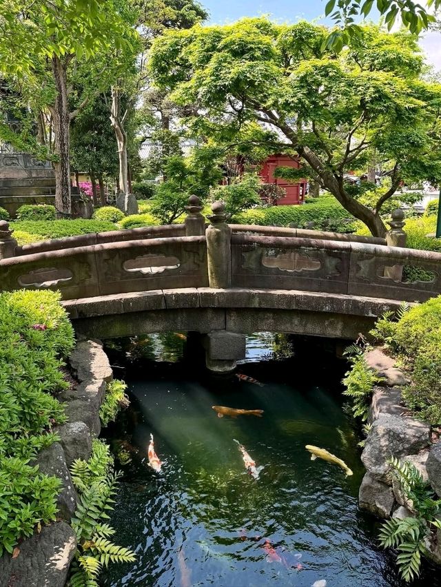 Old Tokyo Vibes