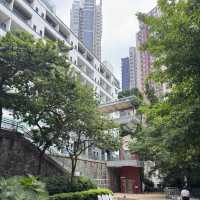 【香港】 中環鬧市的寧靜品茶靜土