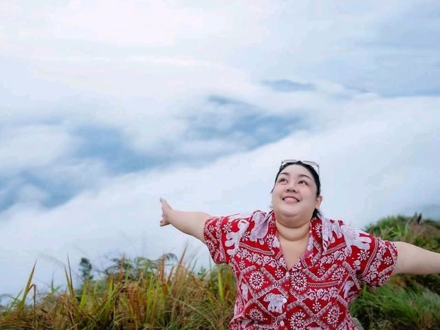 ถึง ภูชี้ฟ้าแล้ว ⛰️ สวยสะกด ธรรมชาติงดงาม