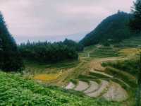 中國湖南婁底新化著名景點：紫鹊界梯田，適合打卡拍照📸