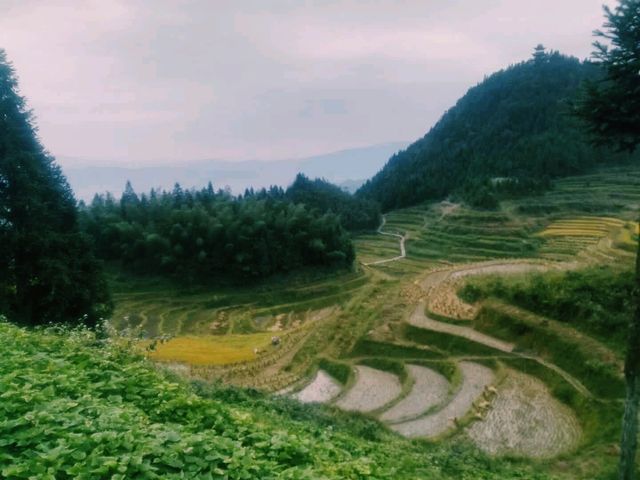 中國湖南婁底新化著名景點：紫鹊界梯田，適合打卡拍照📸