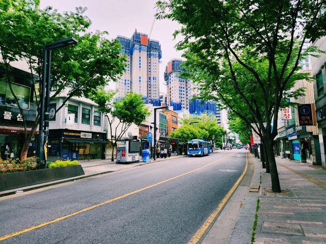 🌸【都市綠洲】慶尚監營公園：歷史與花香共舞的所在