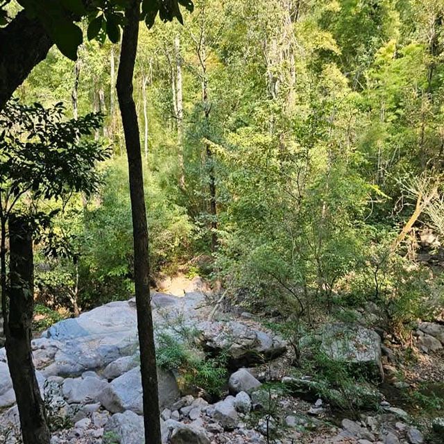 อุทยานแห่งชาติแม่วะ