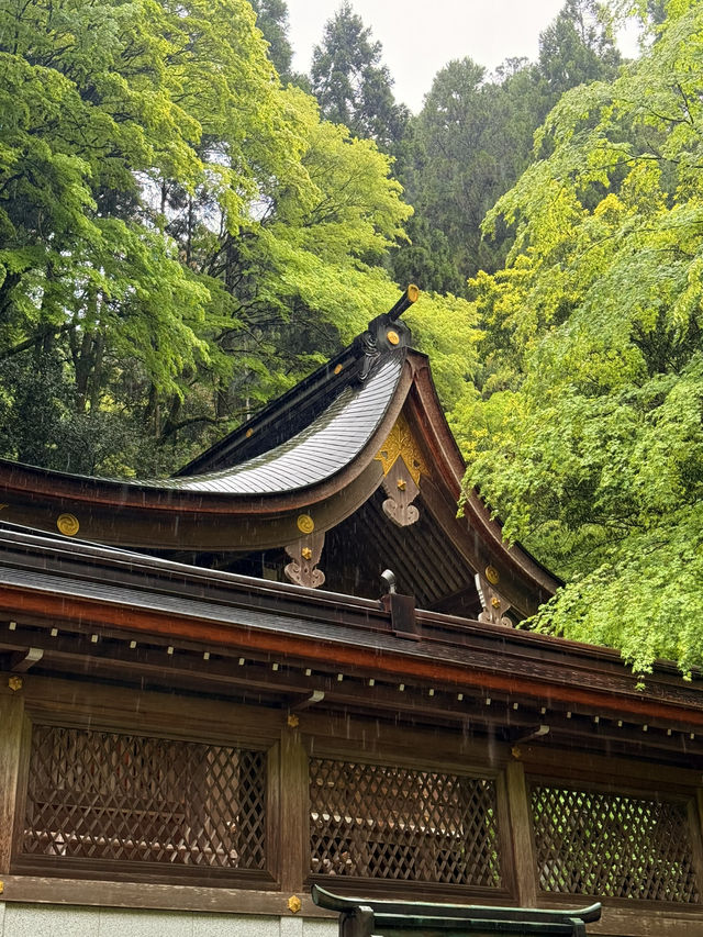 京都｜到貴船神社抽水籤 春有綠意秋楓紅 感受京都絕美詩意