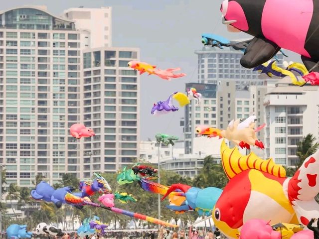 Pattaya Pulse – Where the City Meets the Sea