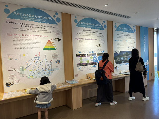 宍道湖野生生物研究所