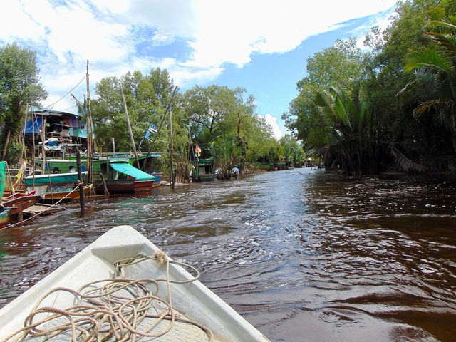 🌊 Kuching Wetlands National Park: A Backpacker’s Guide to Borneo’s Secret Waterworld!  