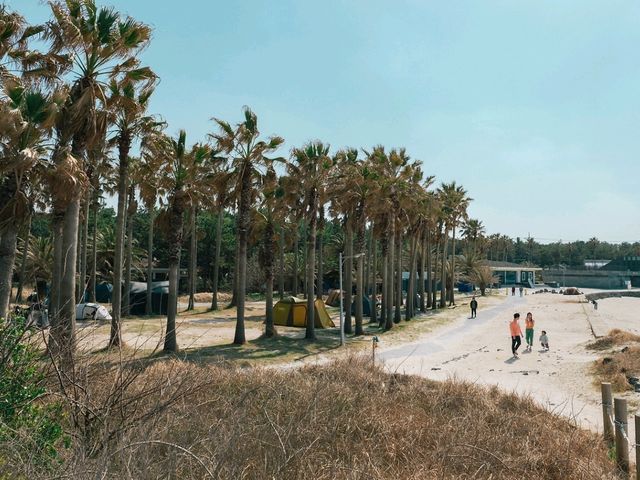금능해수욕장
