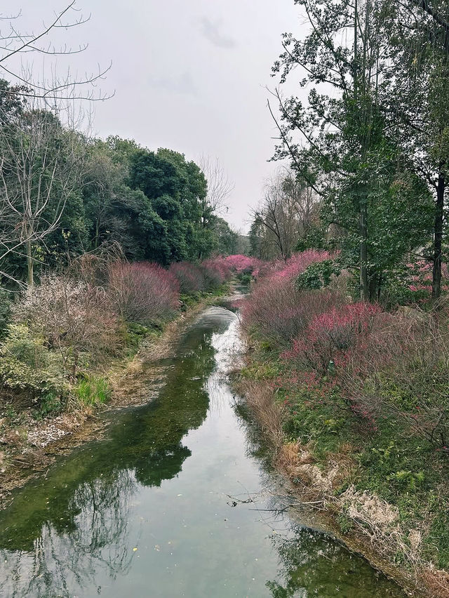 Huanhua Stream Park