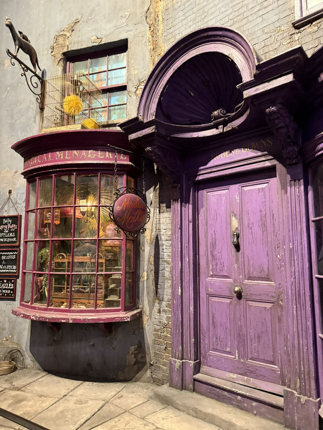 Wand Shops and Wizarding Wonders: Diagon Alley