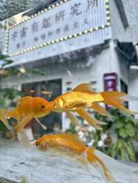 Time Warp in Xiamen: A Playdate at the Universe Fun Institute